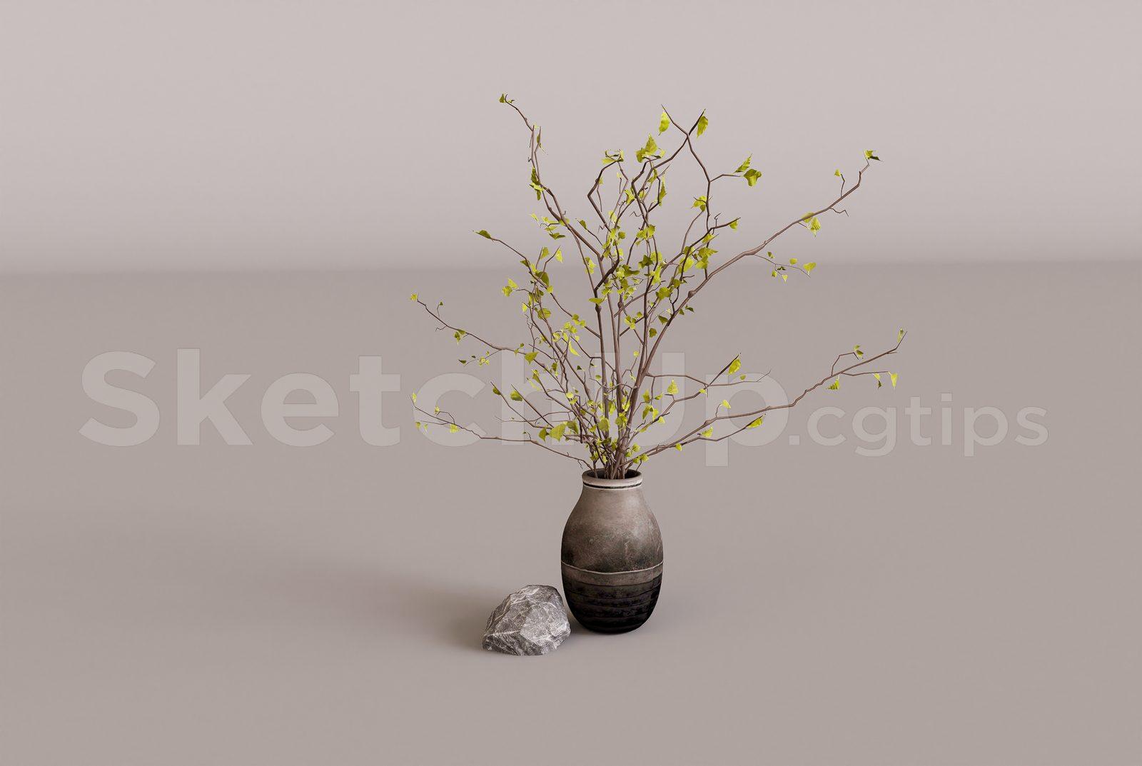 Plant