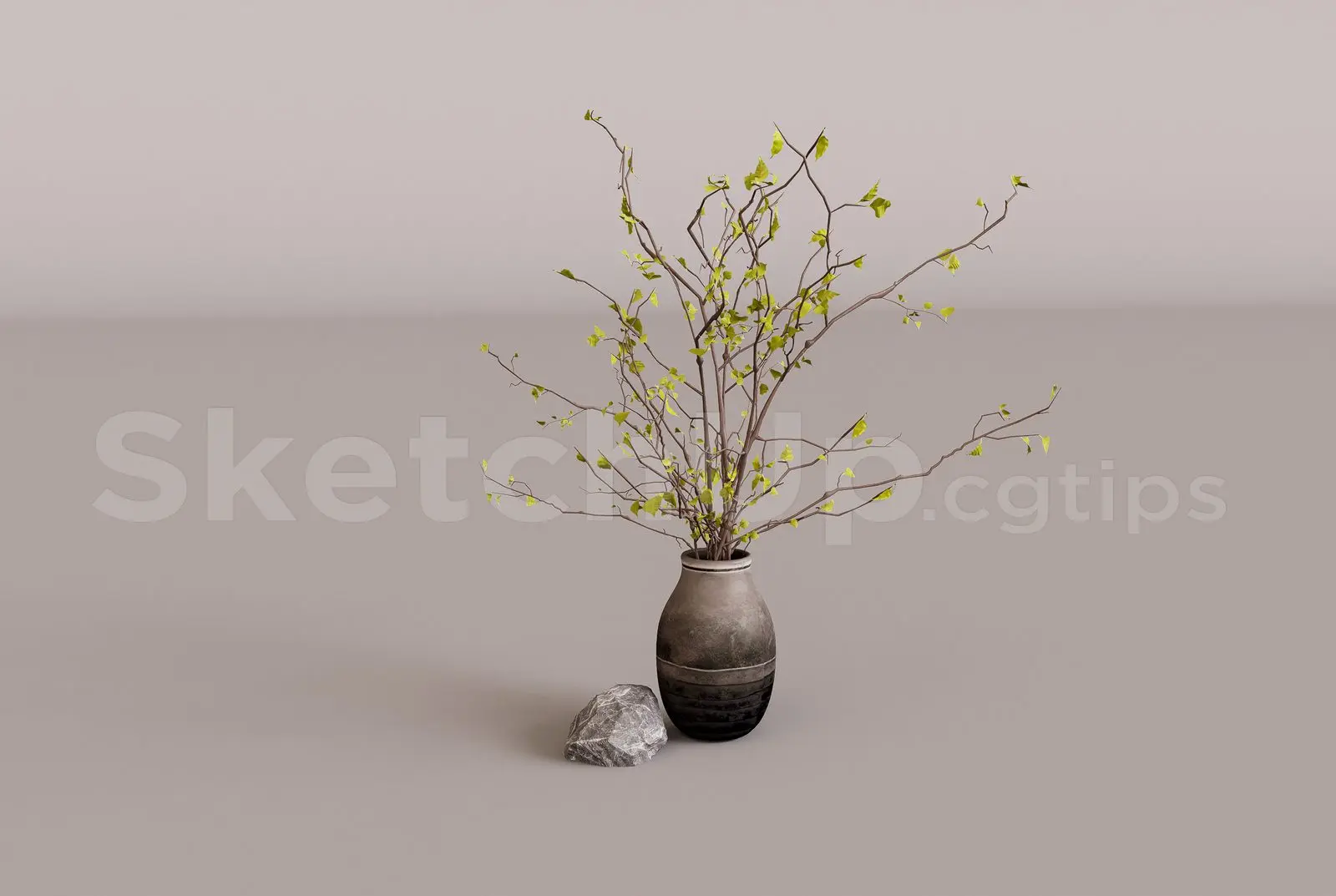 Plant