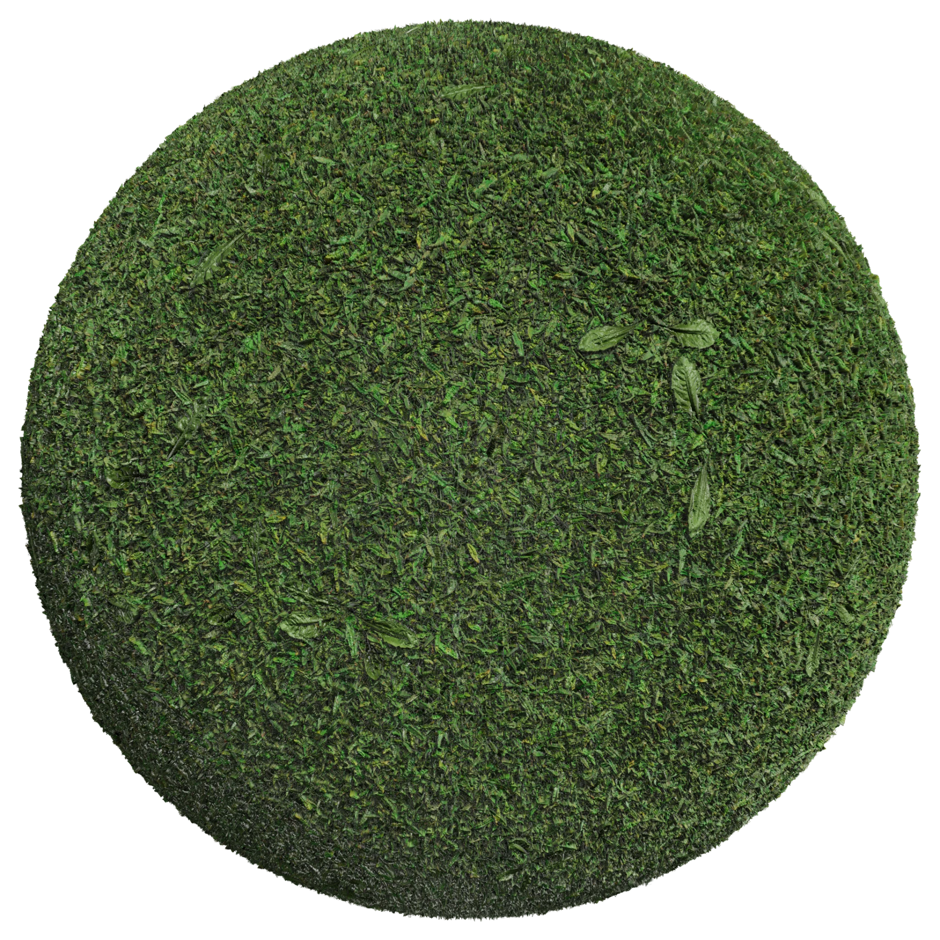 Grass 001