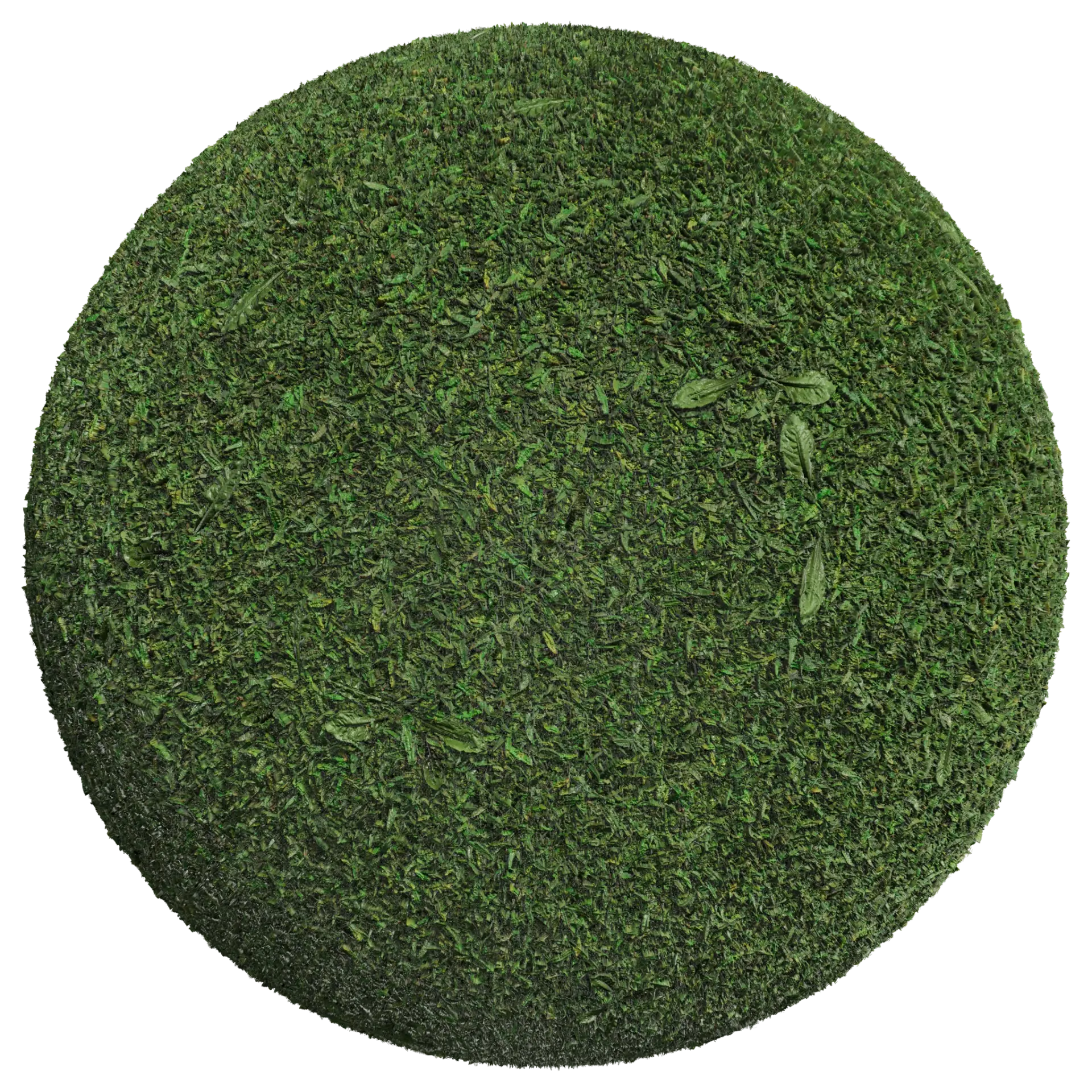 Grass 001