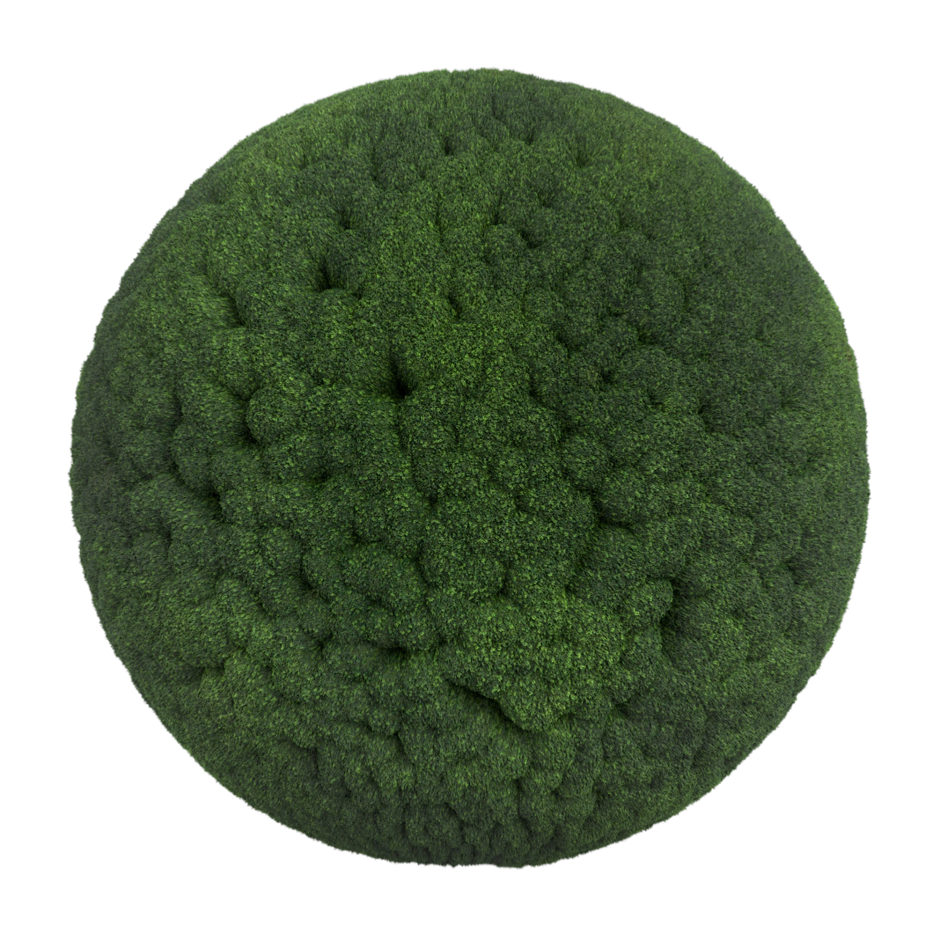 Moss 004