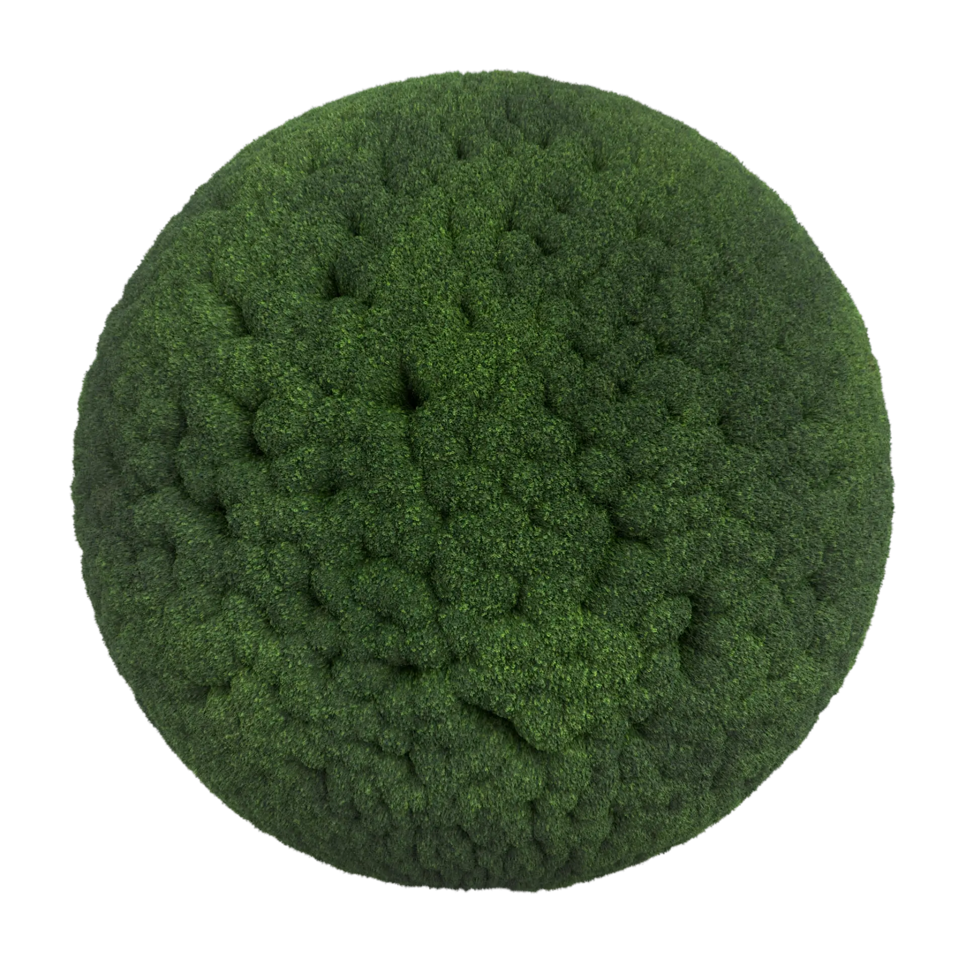 Moss 004