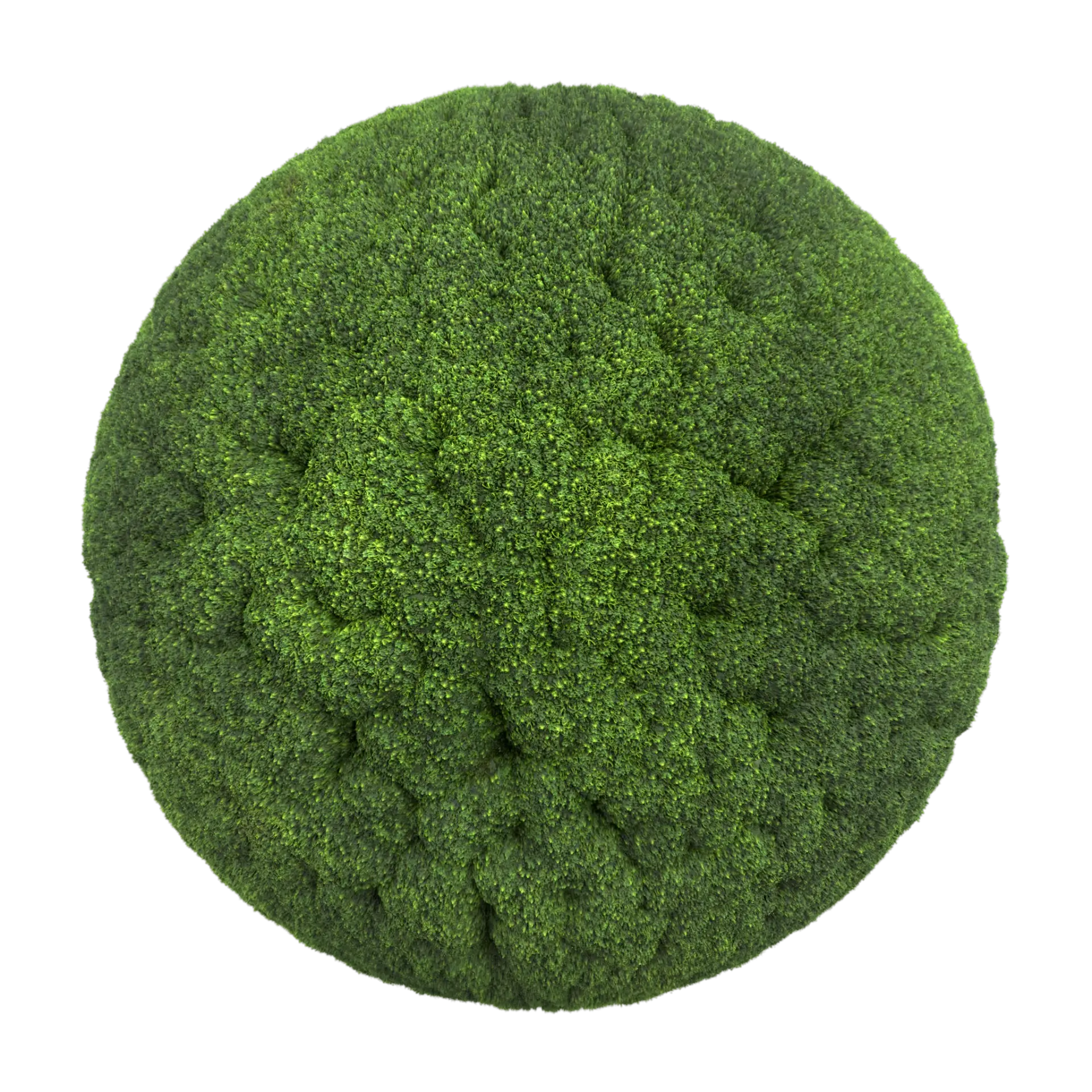 Moss 002