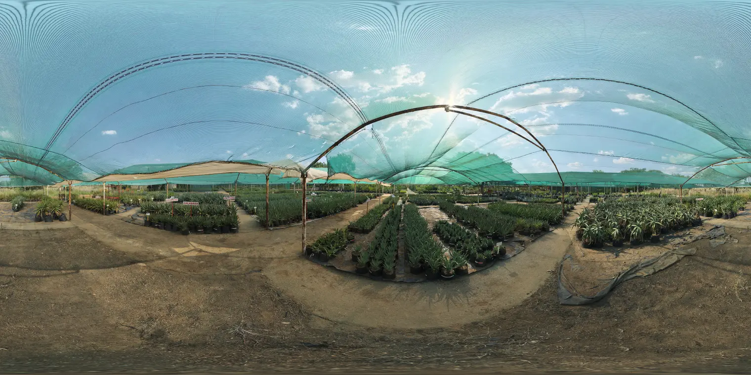 Aloe Farm Shade House — preview 1, by Dimitrios Savva, Jarod Guest (Poly Haven, CC0)