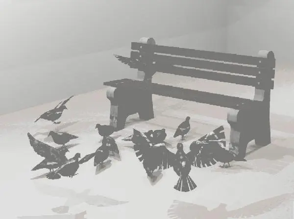 Pidgeons