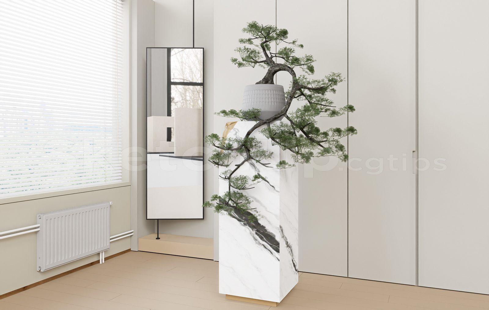 BonSai Tree