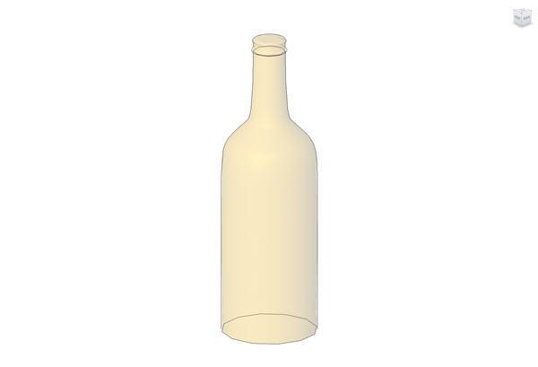 Beer Bottle