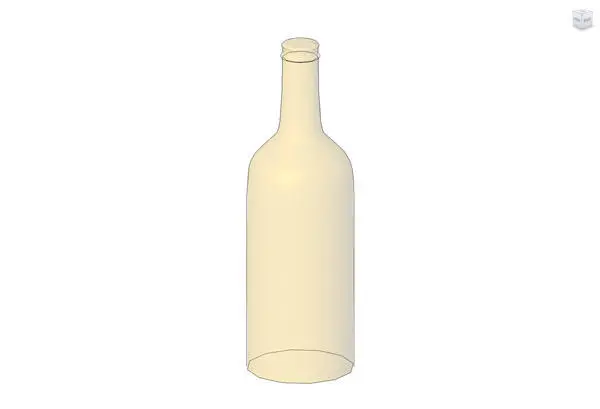 Beer Bottle