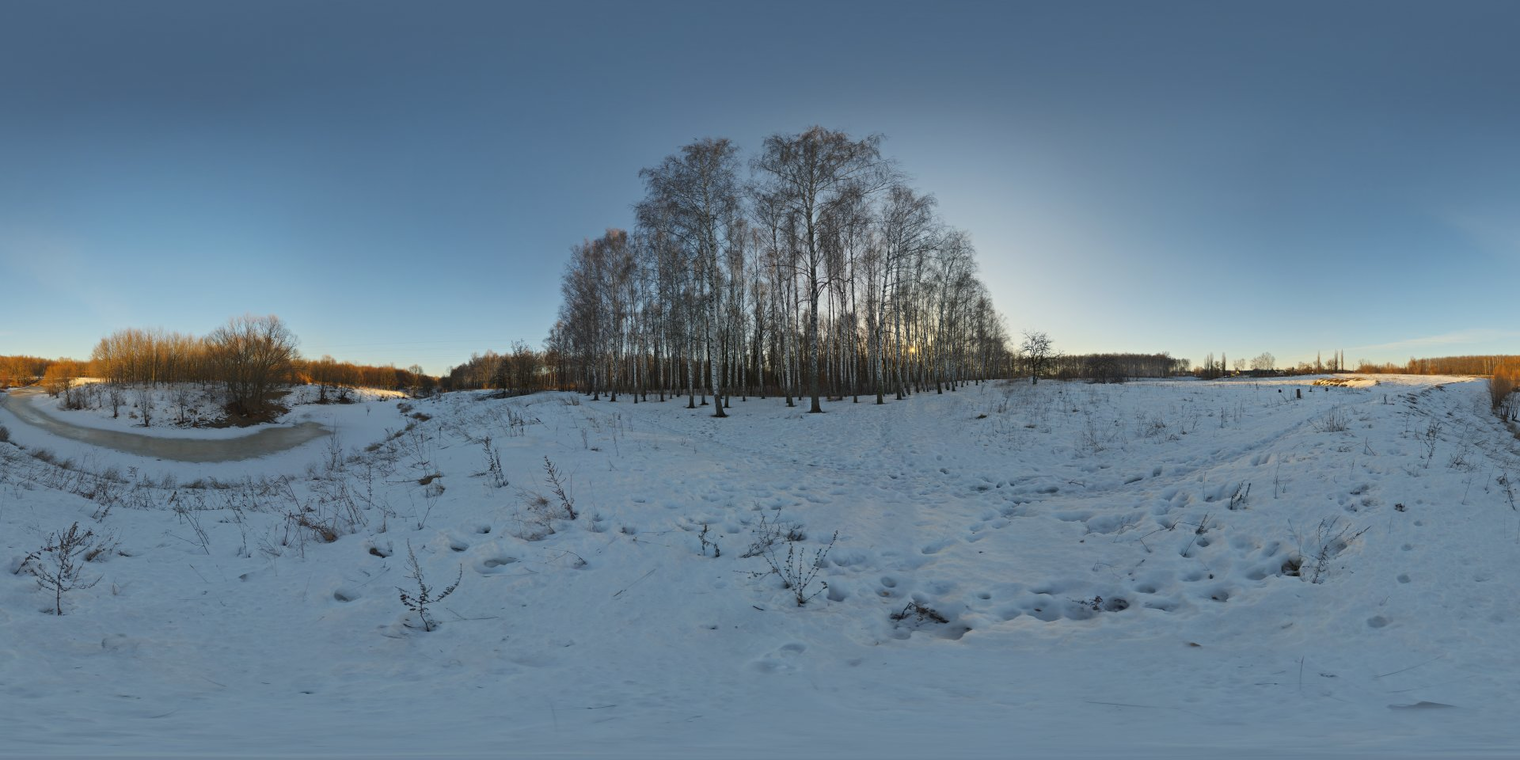 Birchwood