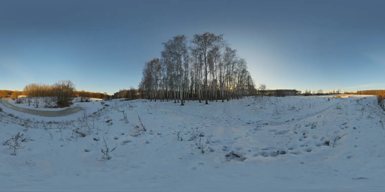 Birchwood