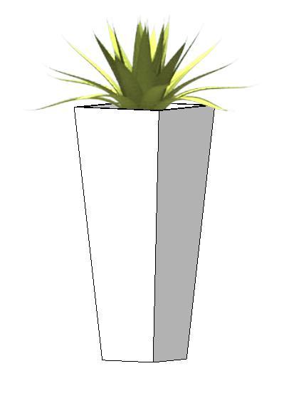 Planter with shrub