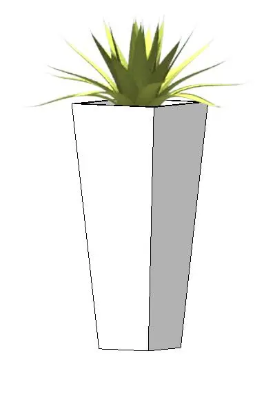 Planter with shrub