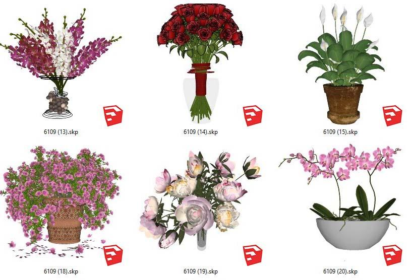 Plants