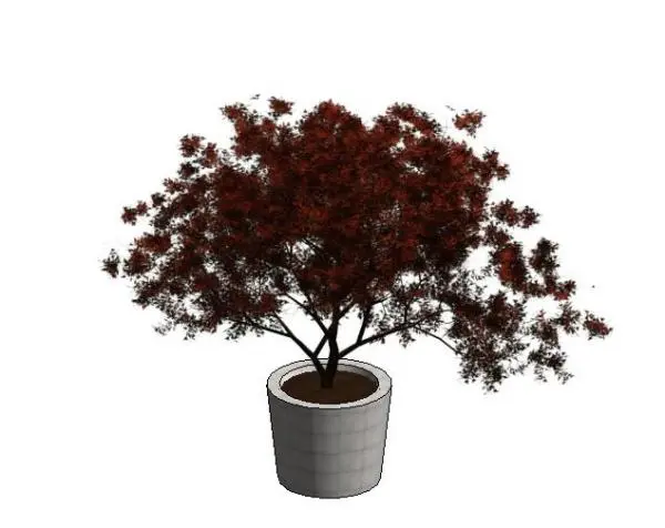 Large Planter