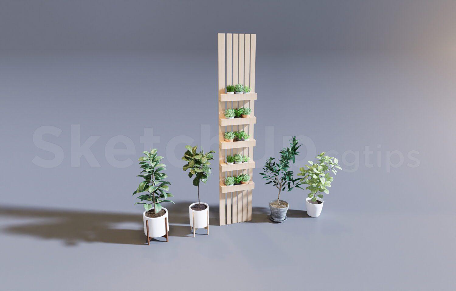 Plant