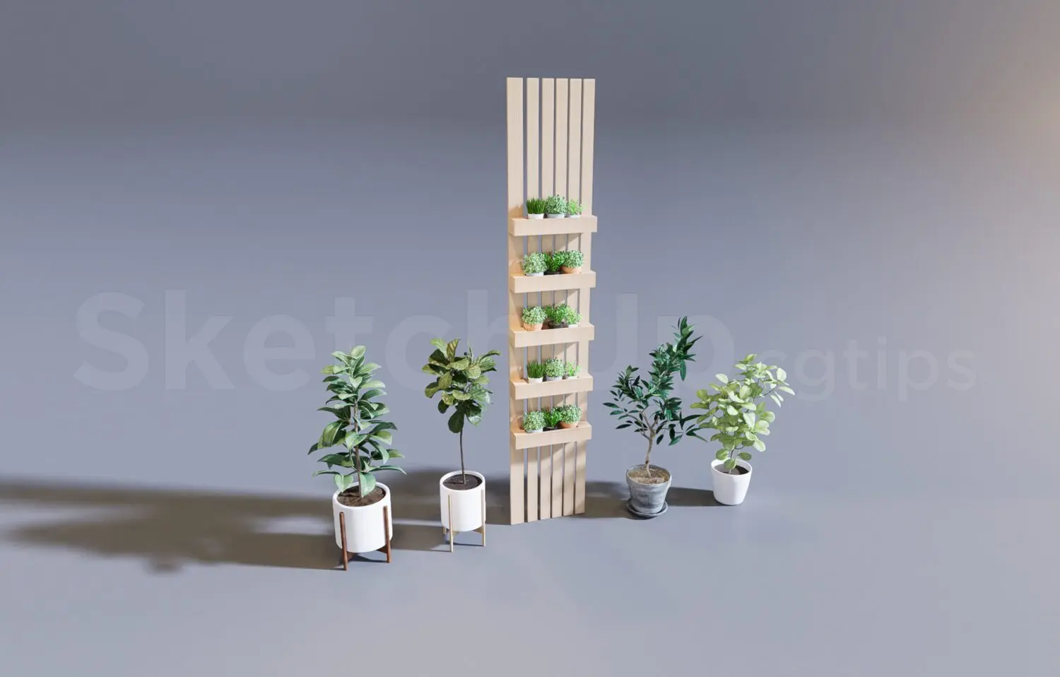 Plant