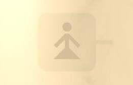 Toilet Sign 2 - ladies toilet