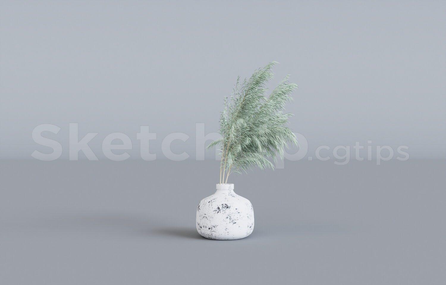 Plant