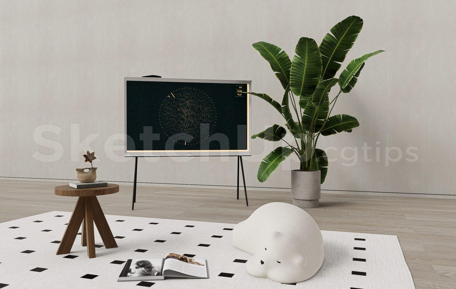 TV