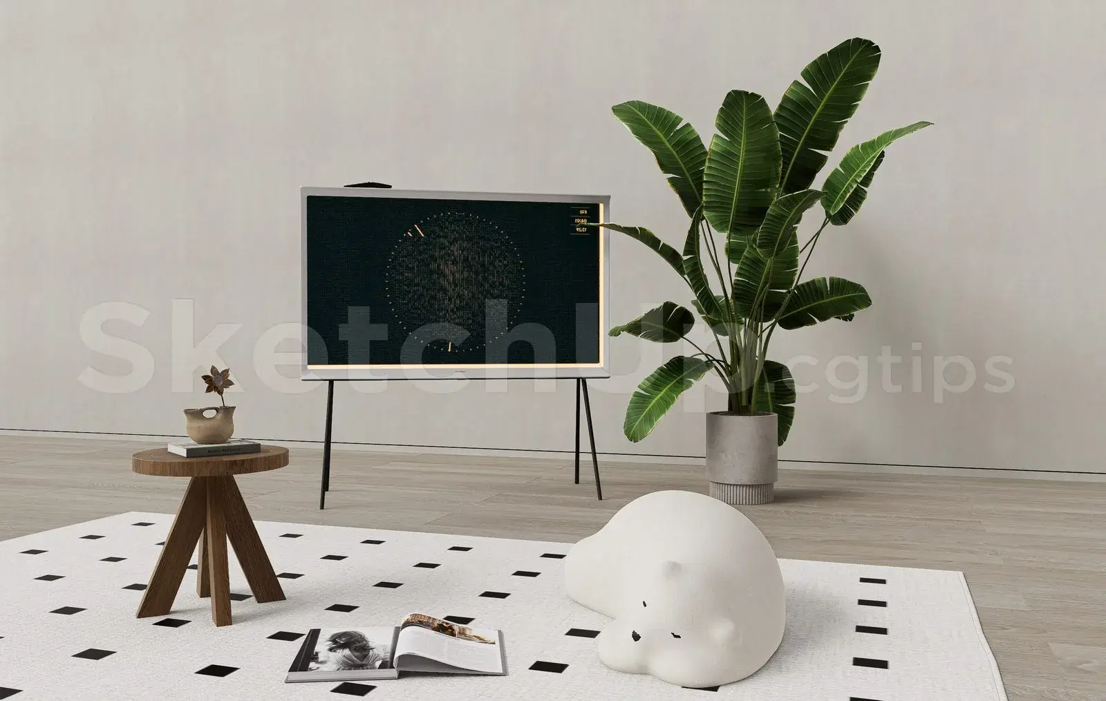 TV