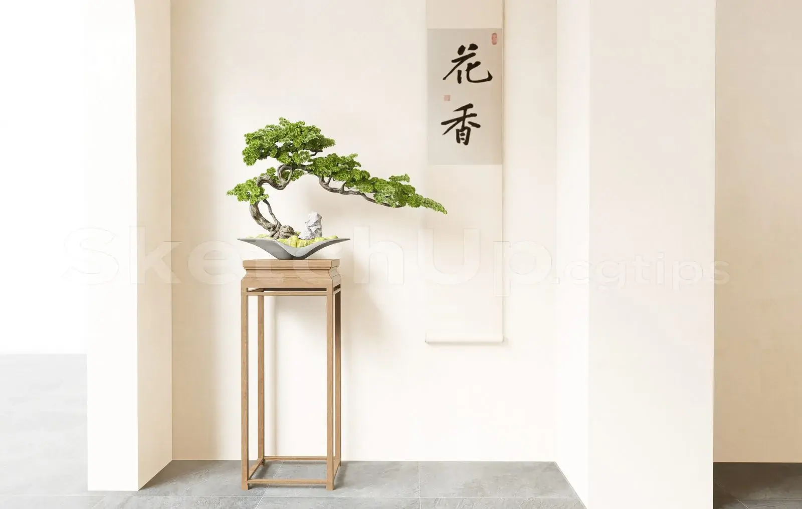 BonSai Tree