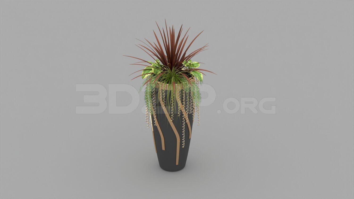 Plant