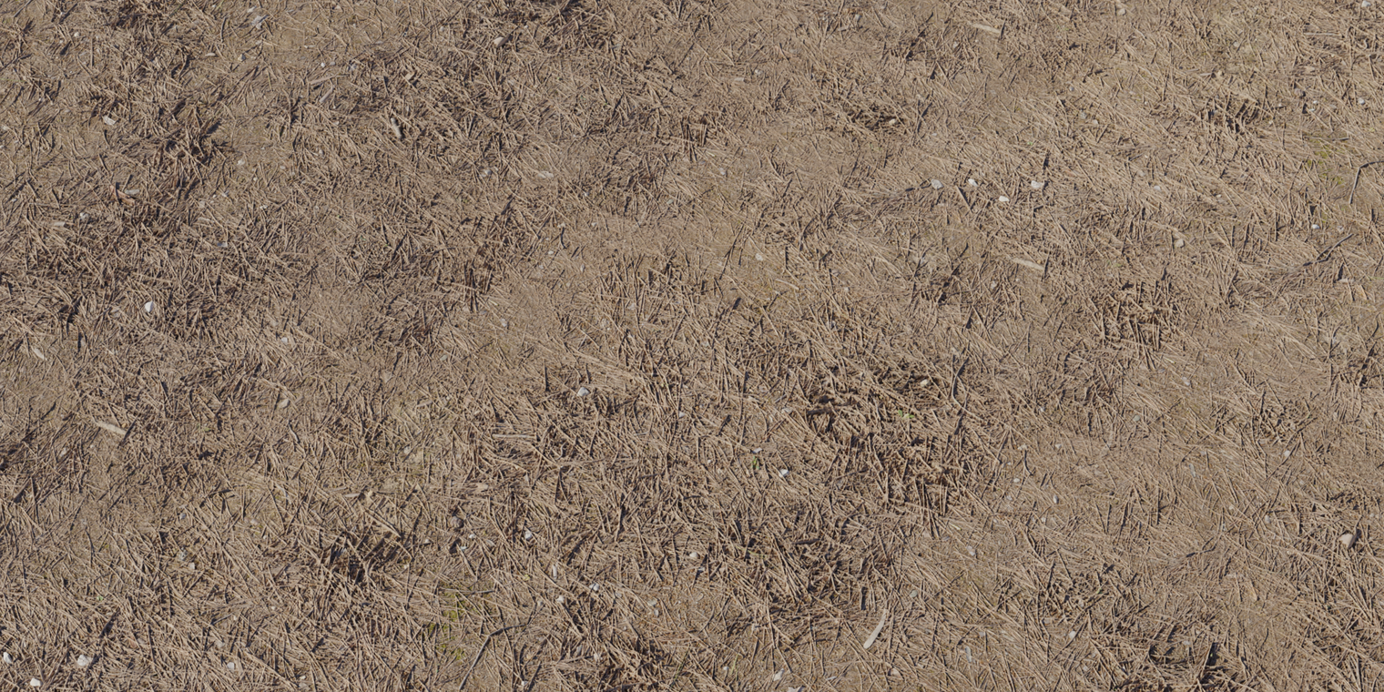 Forest Ground 3