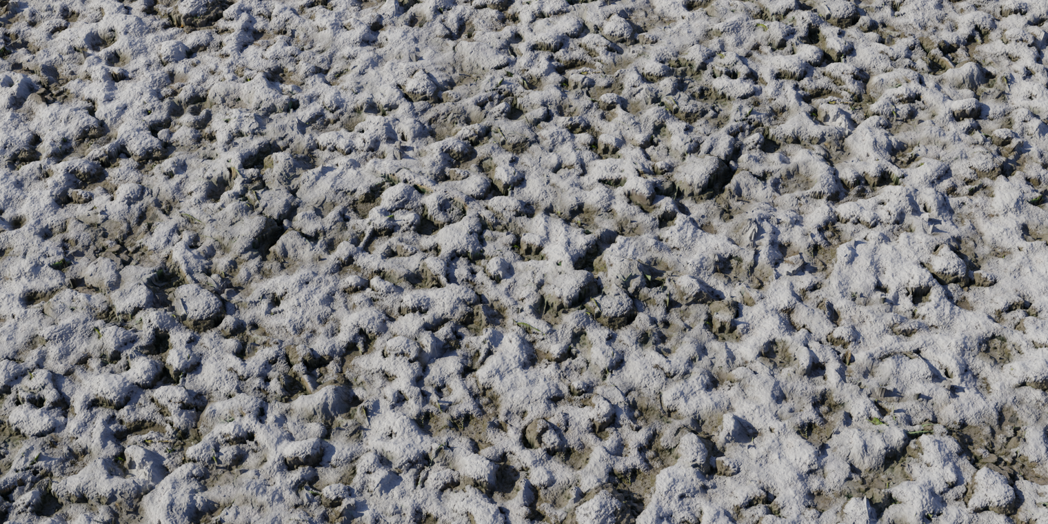 Snow 3