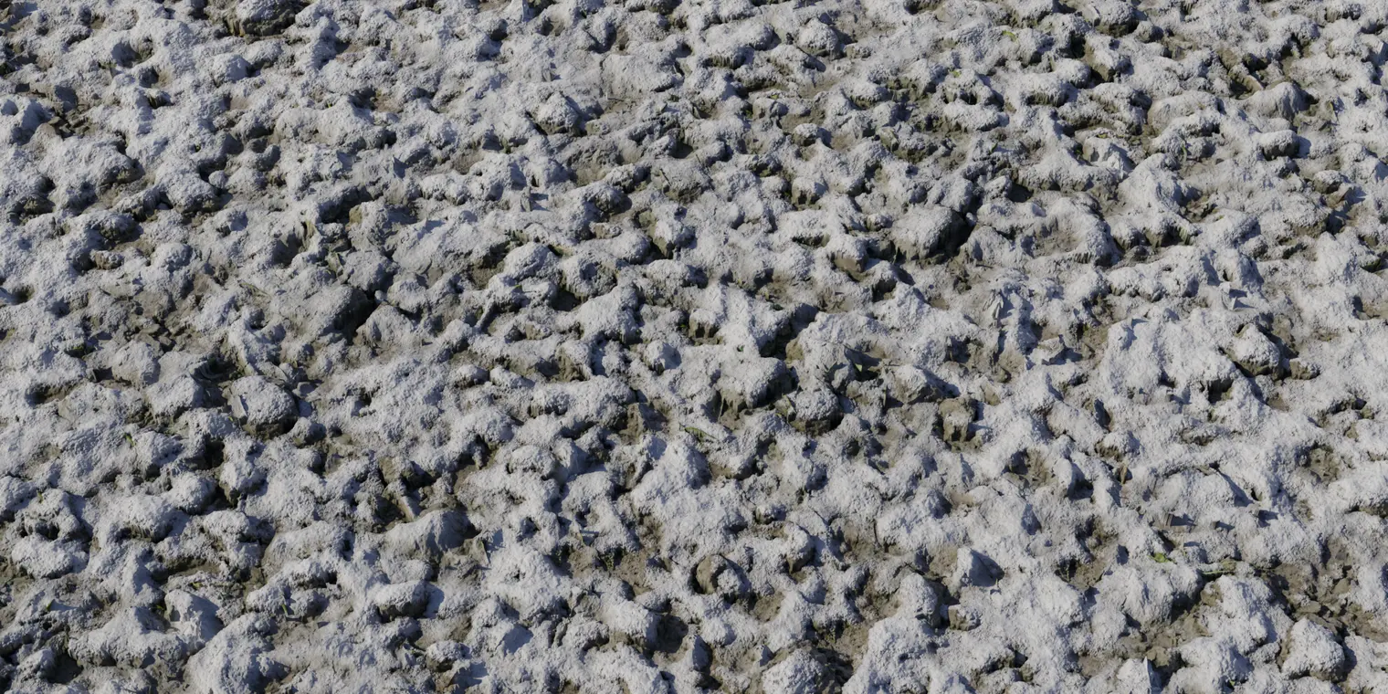 Snow 3 — preview 1, by Rob Tuytel (Poly Haven, CC0)