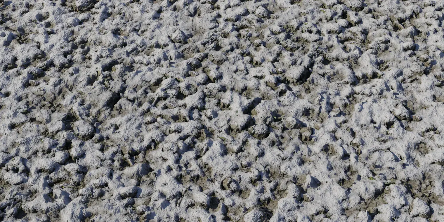 Snow 3