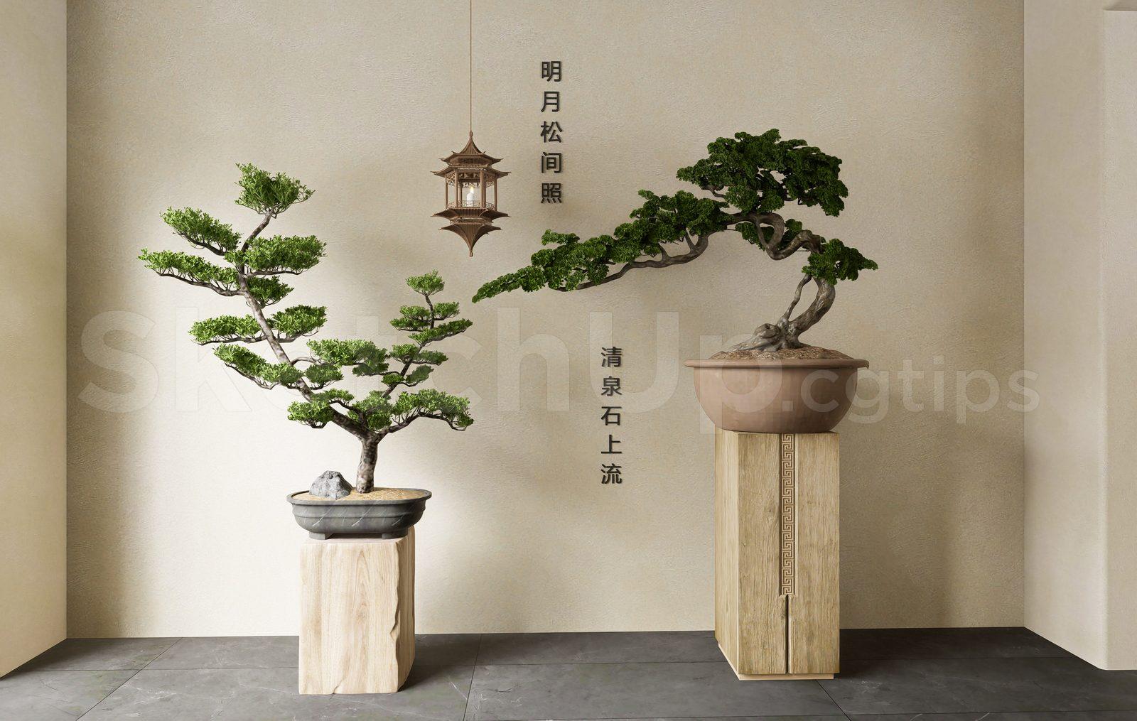 BonSai Tree