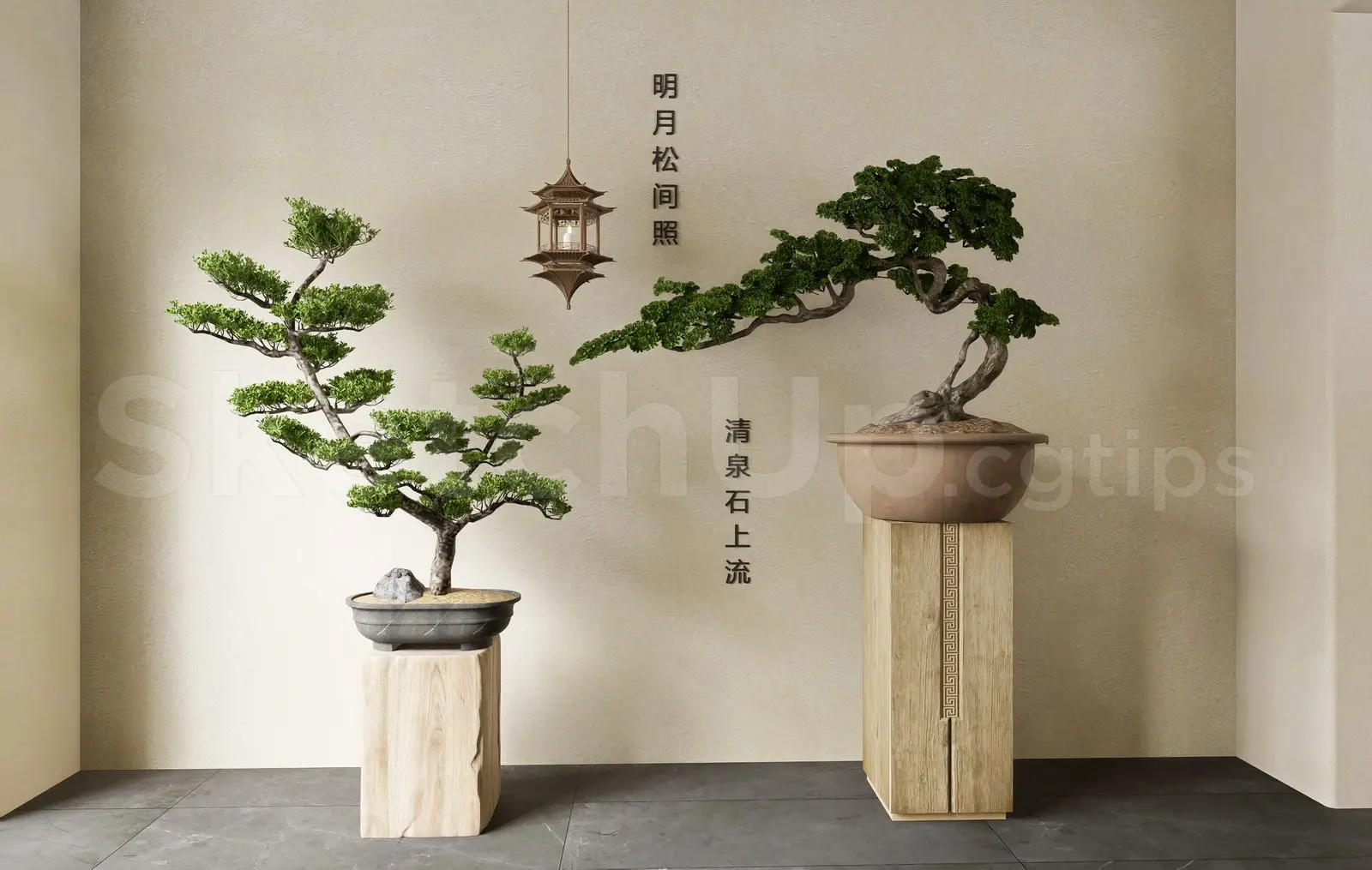 BonSai Tree