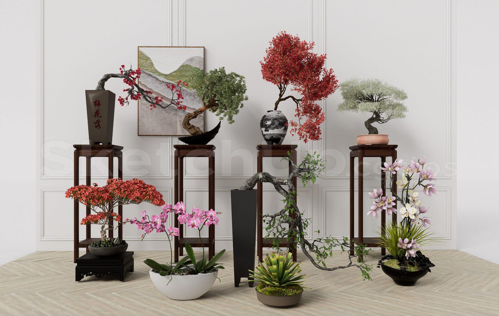 BonSai Tree