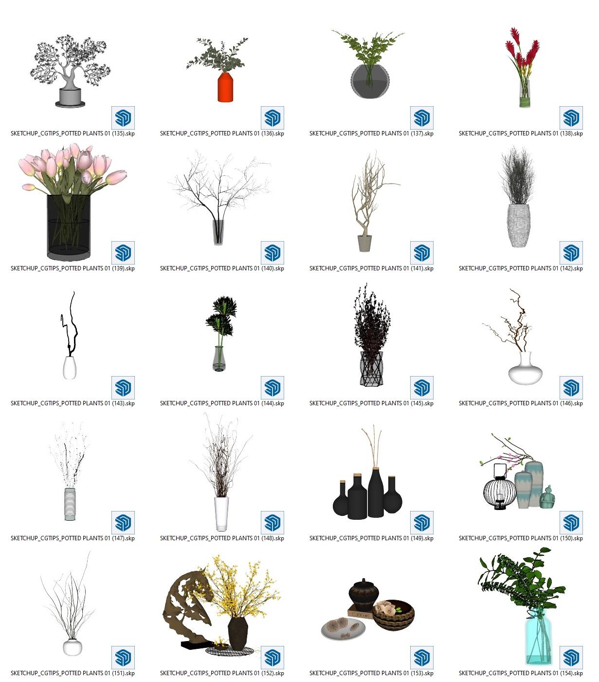 Potted Plants