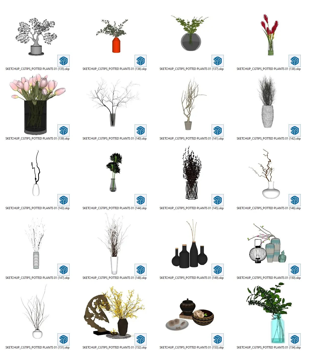 Potted Plants