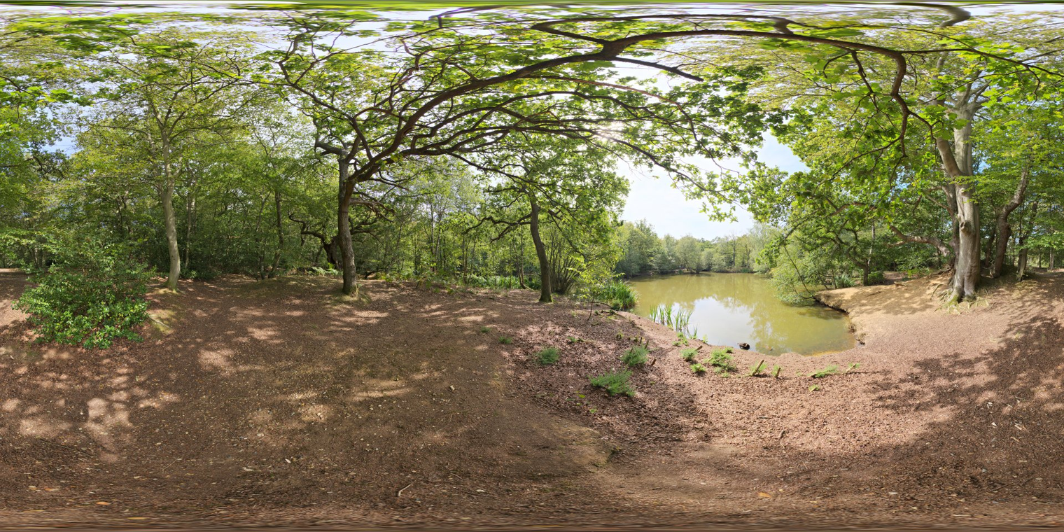 Epping Forest 1