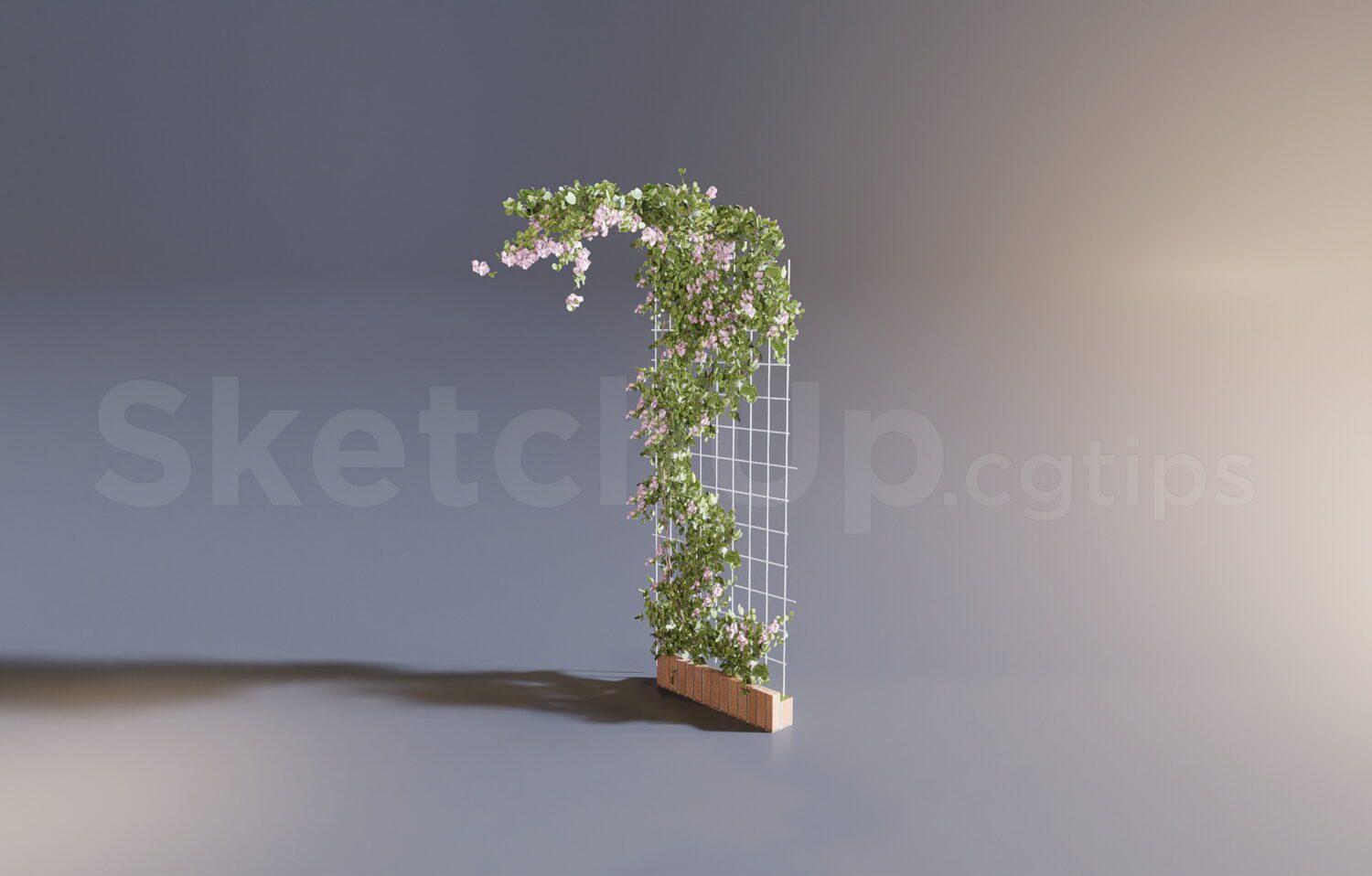 Plant