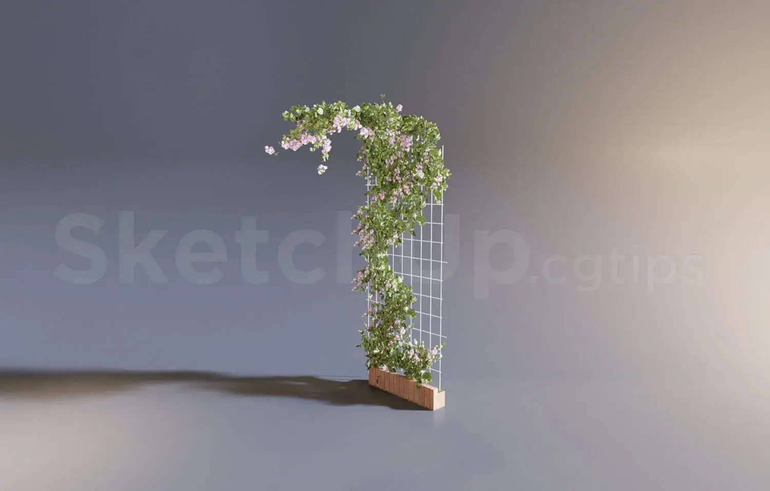 Plant