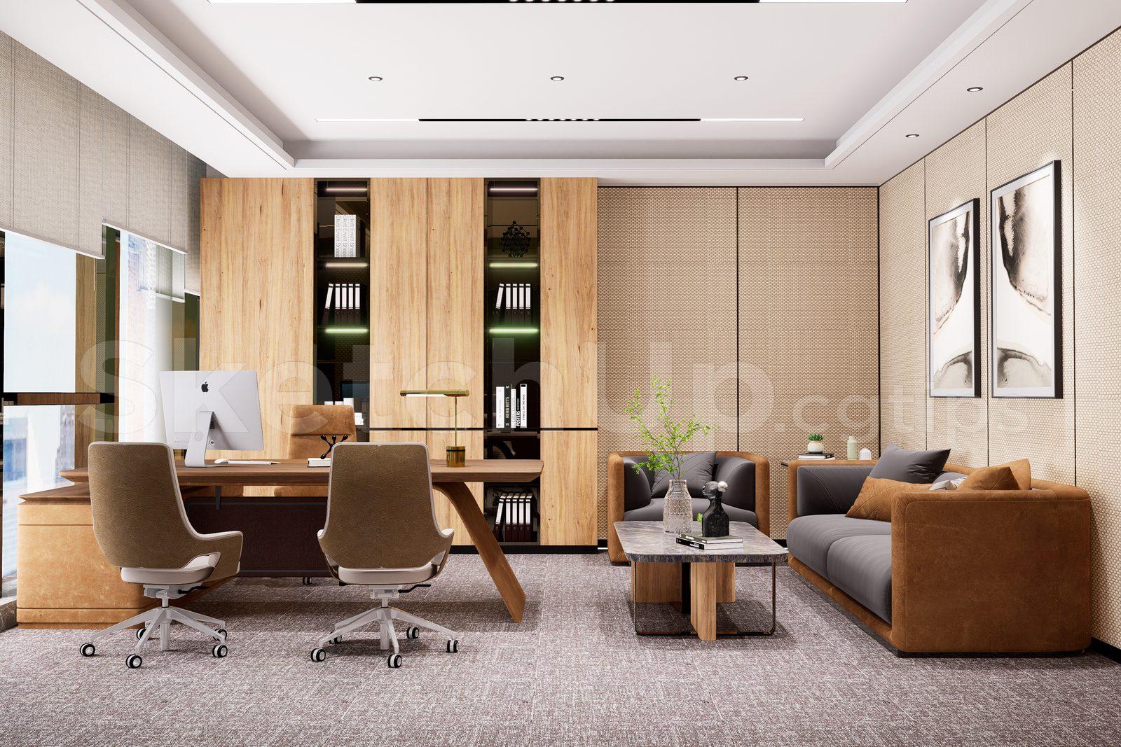 Director Office Interior