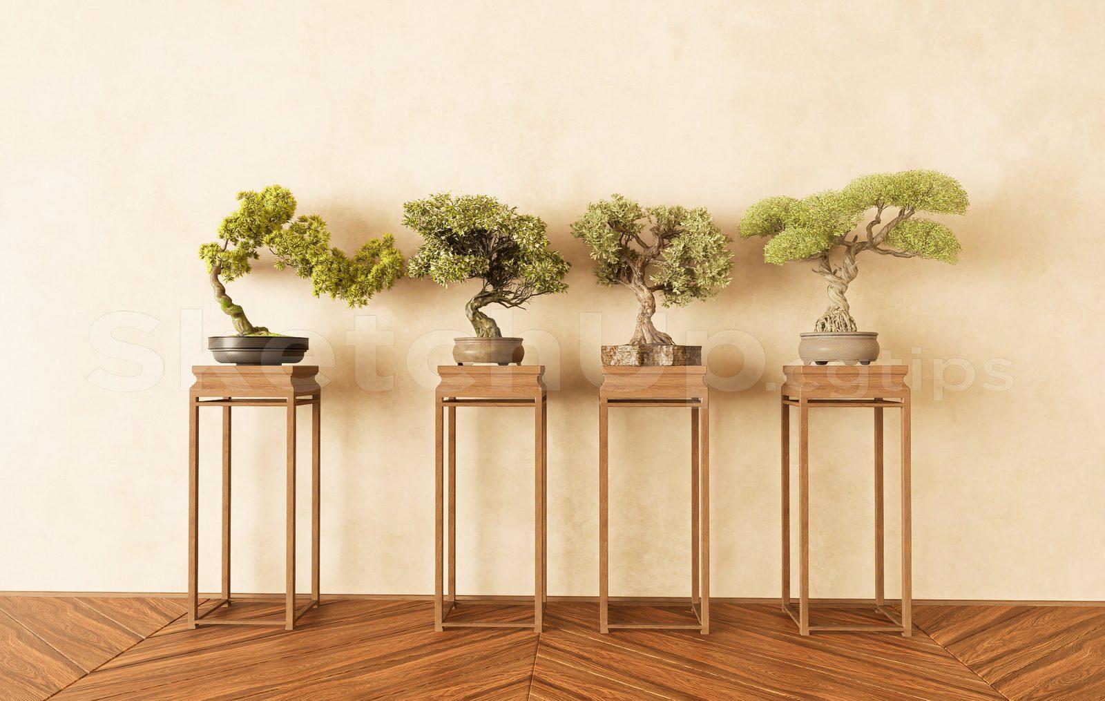 BonSai Tree