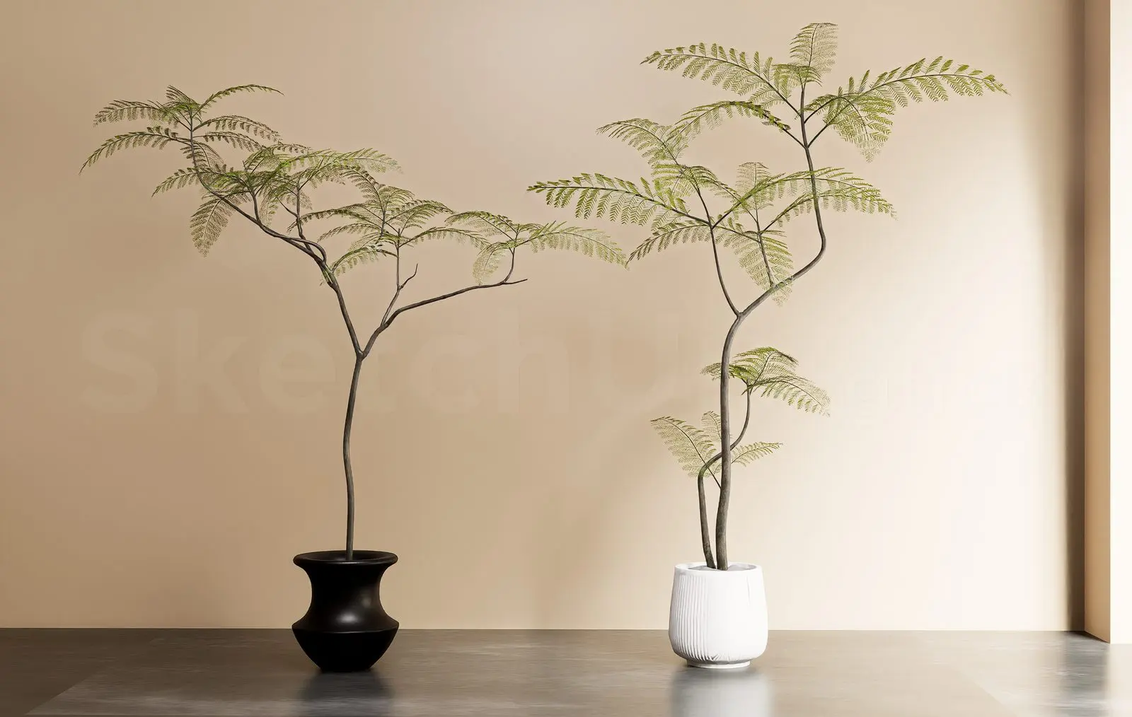 Plant