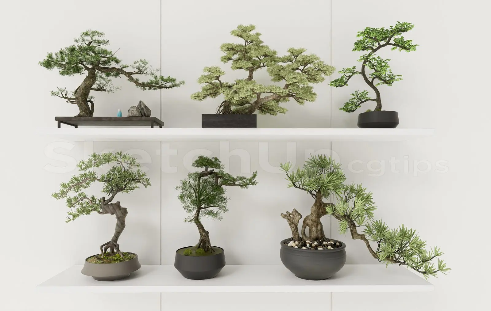 BonSai Tree — preview 1 (cgtips)
