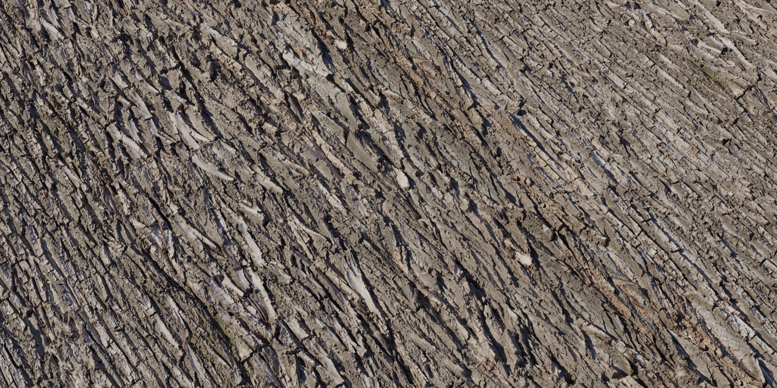 Bark Willow 2