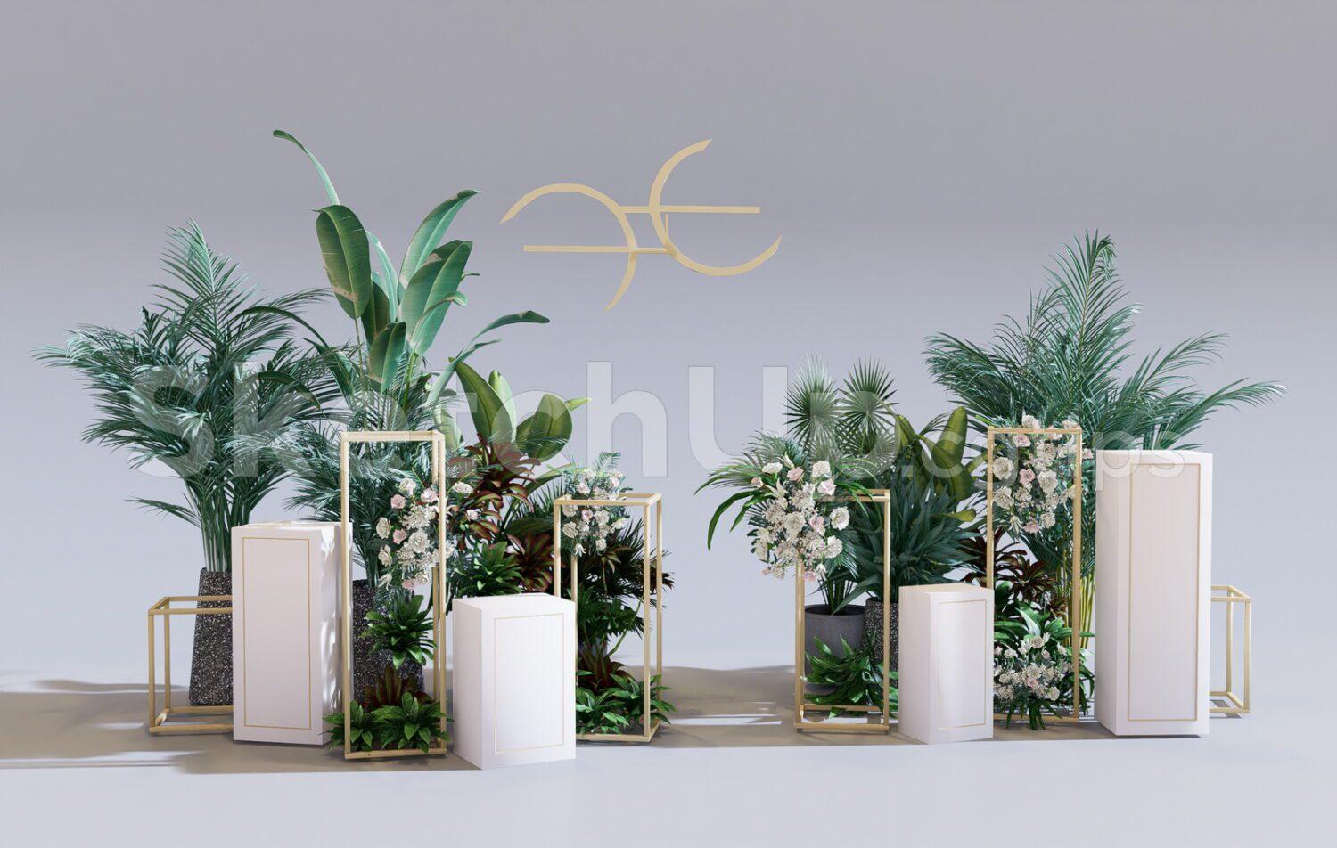 Plants