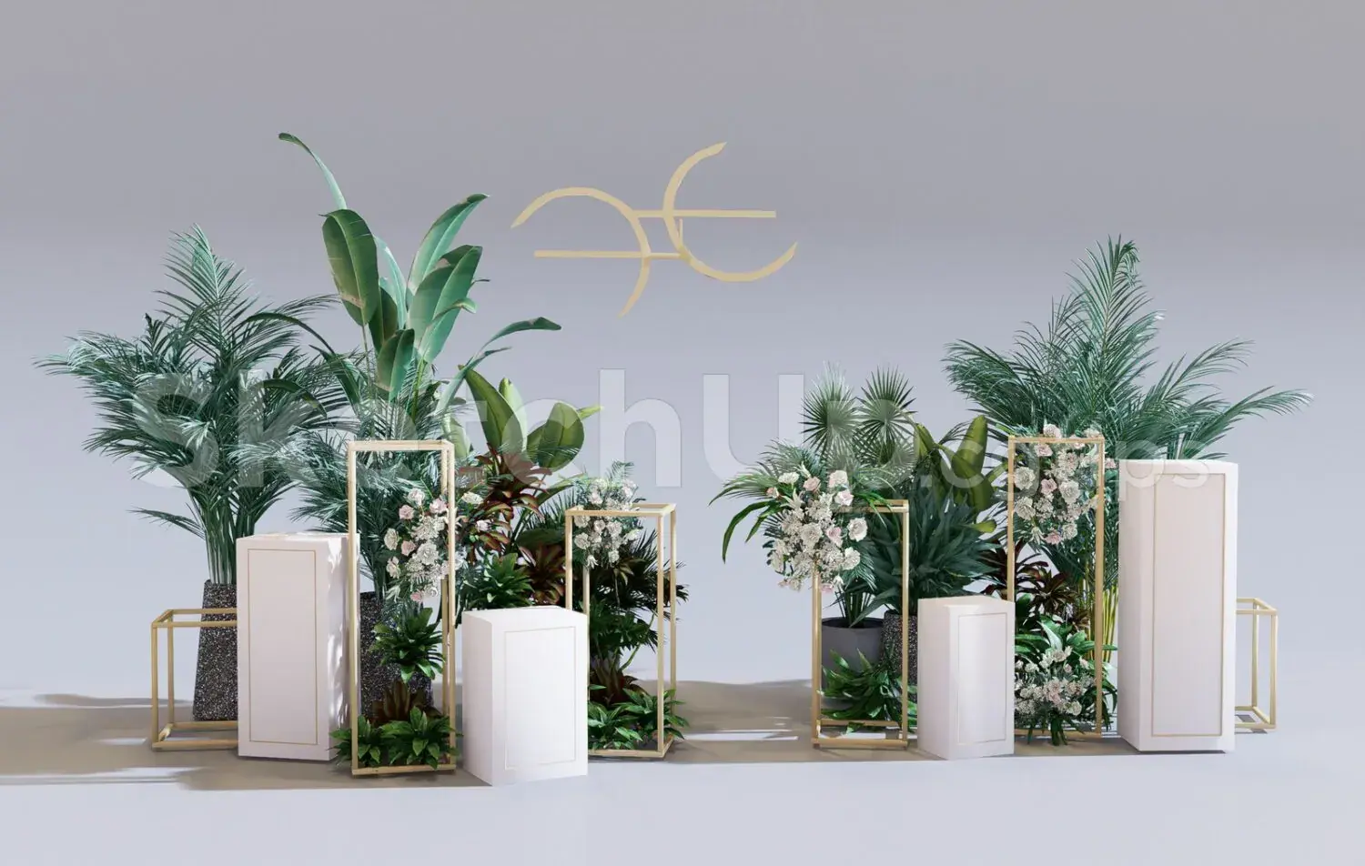 Plants
