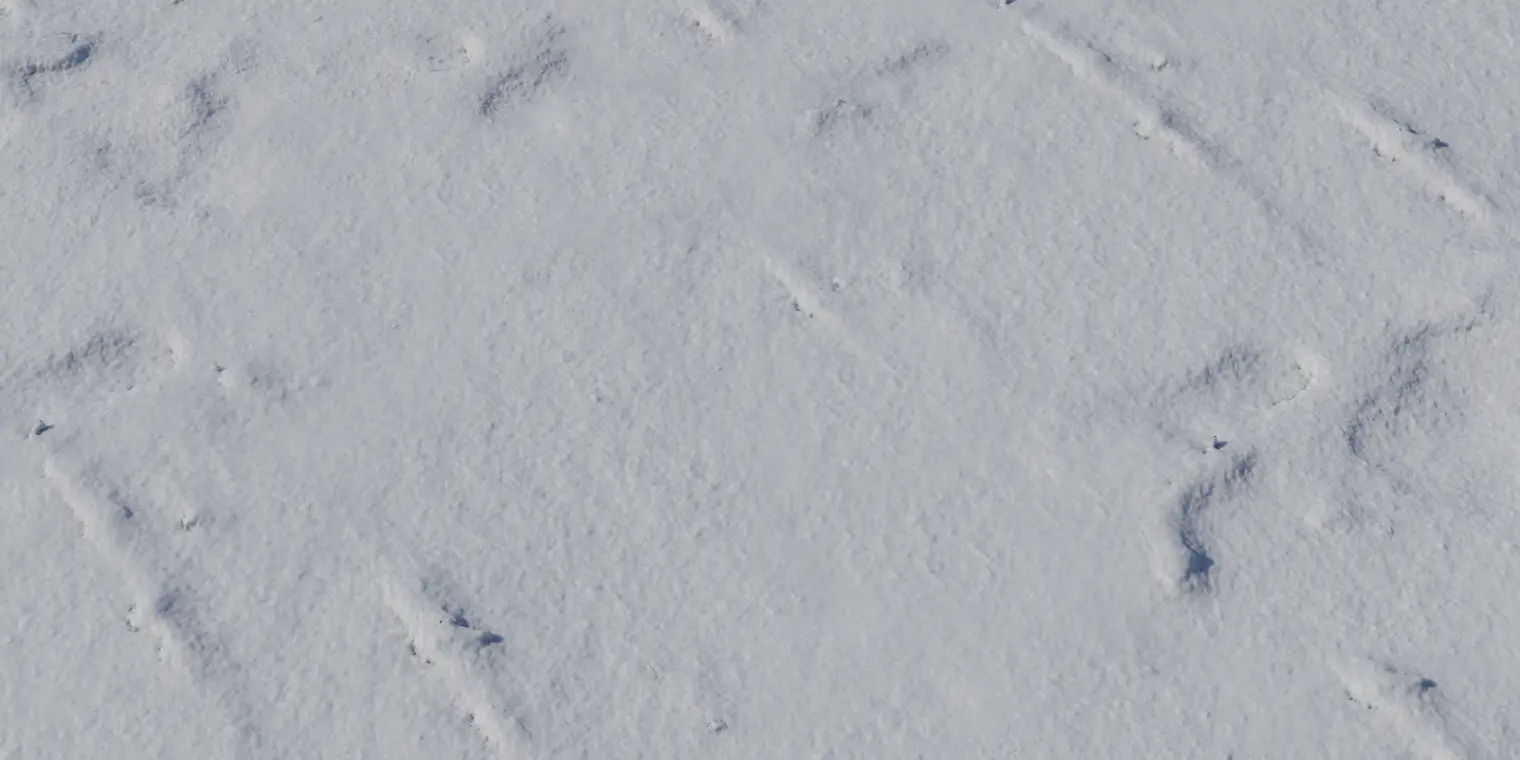 Snow 2