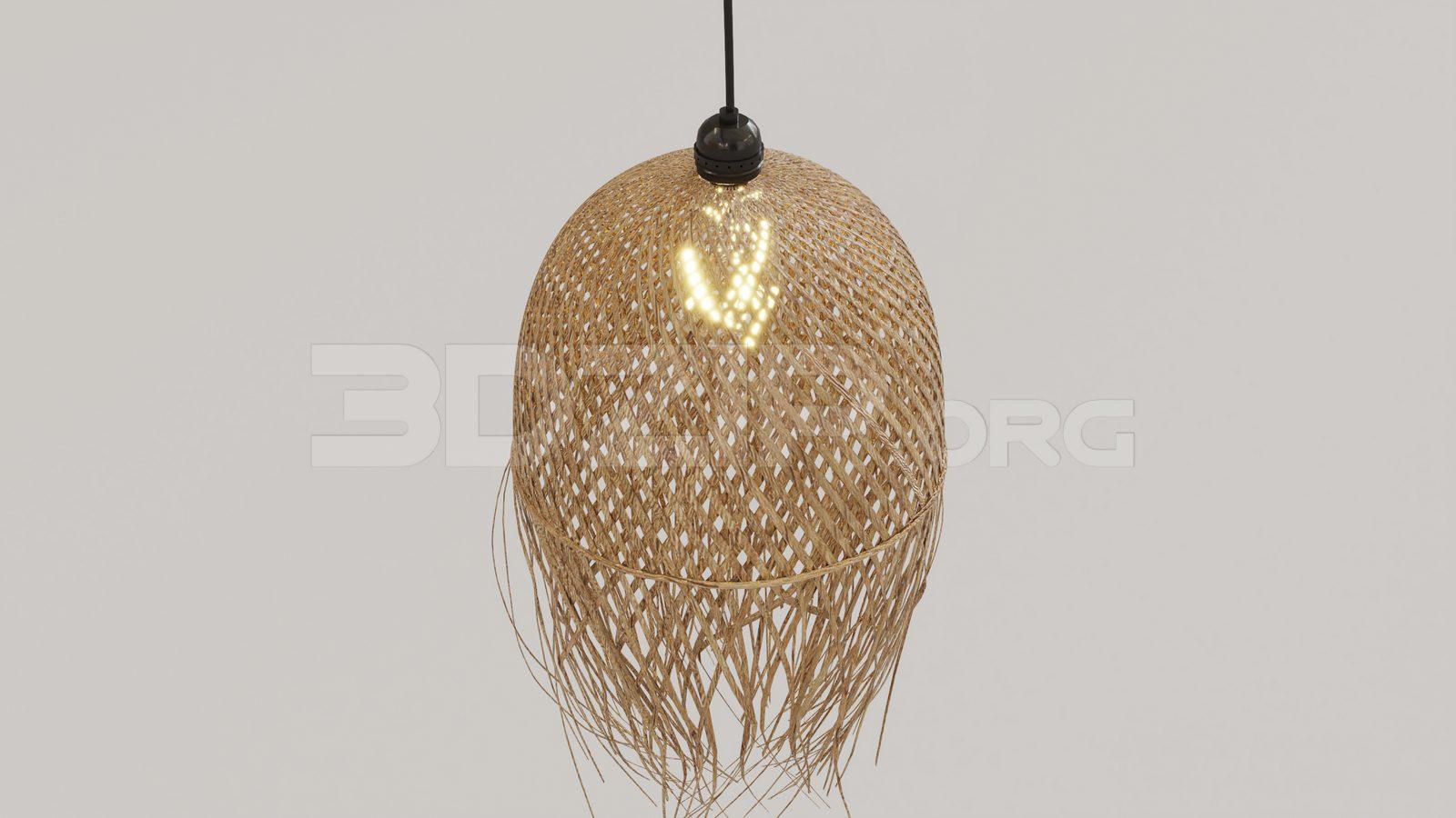Ceiling Light