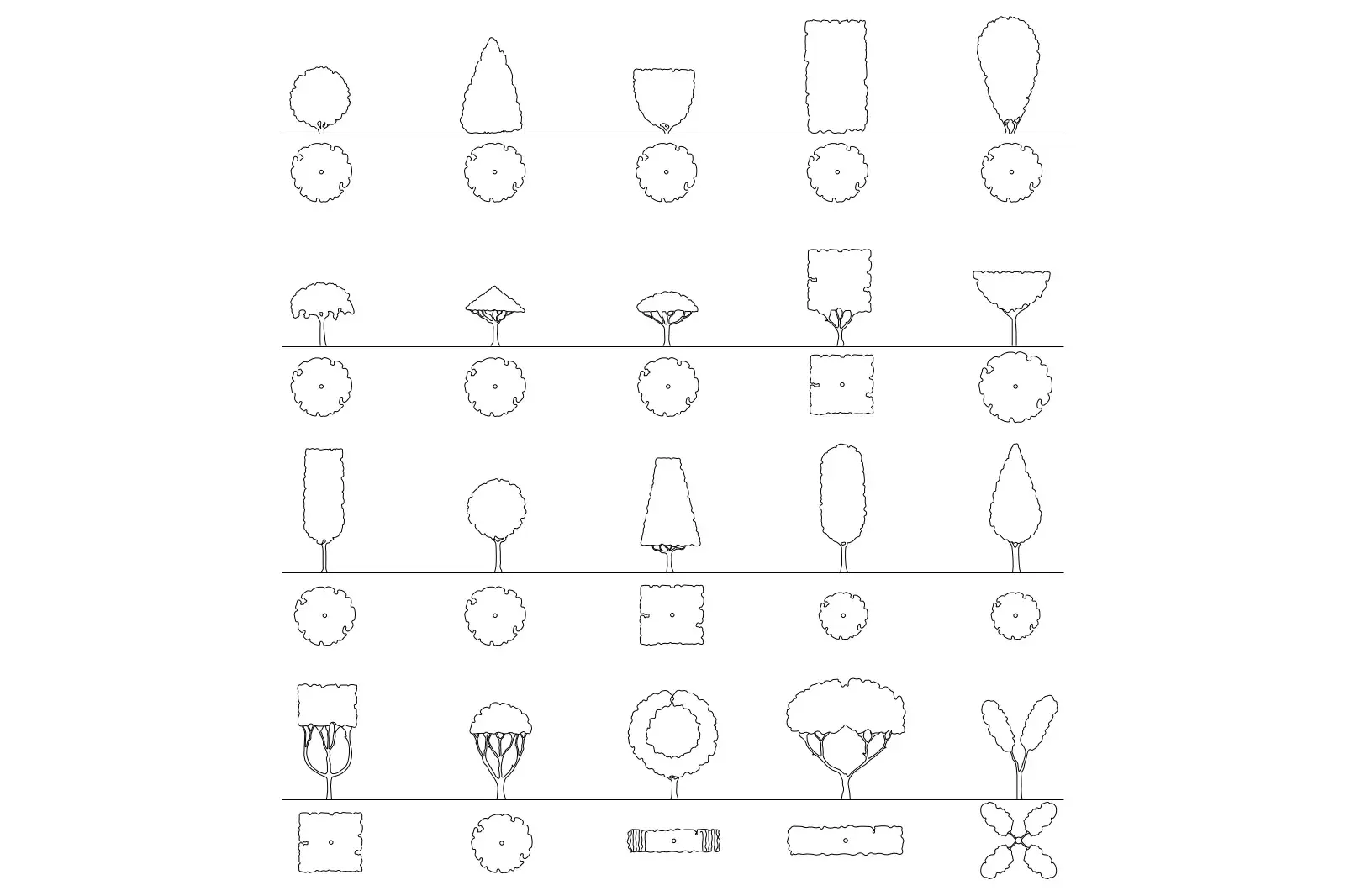 Shapes of Crowns Ornamental Trees