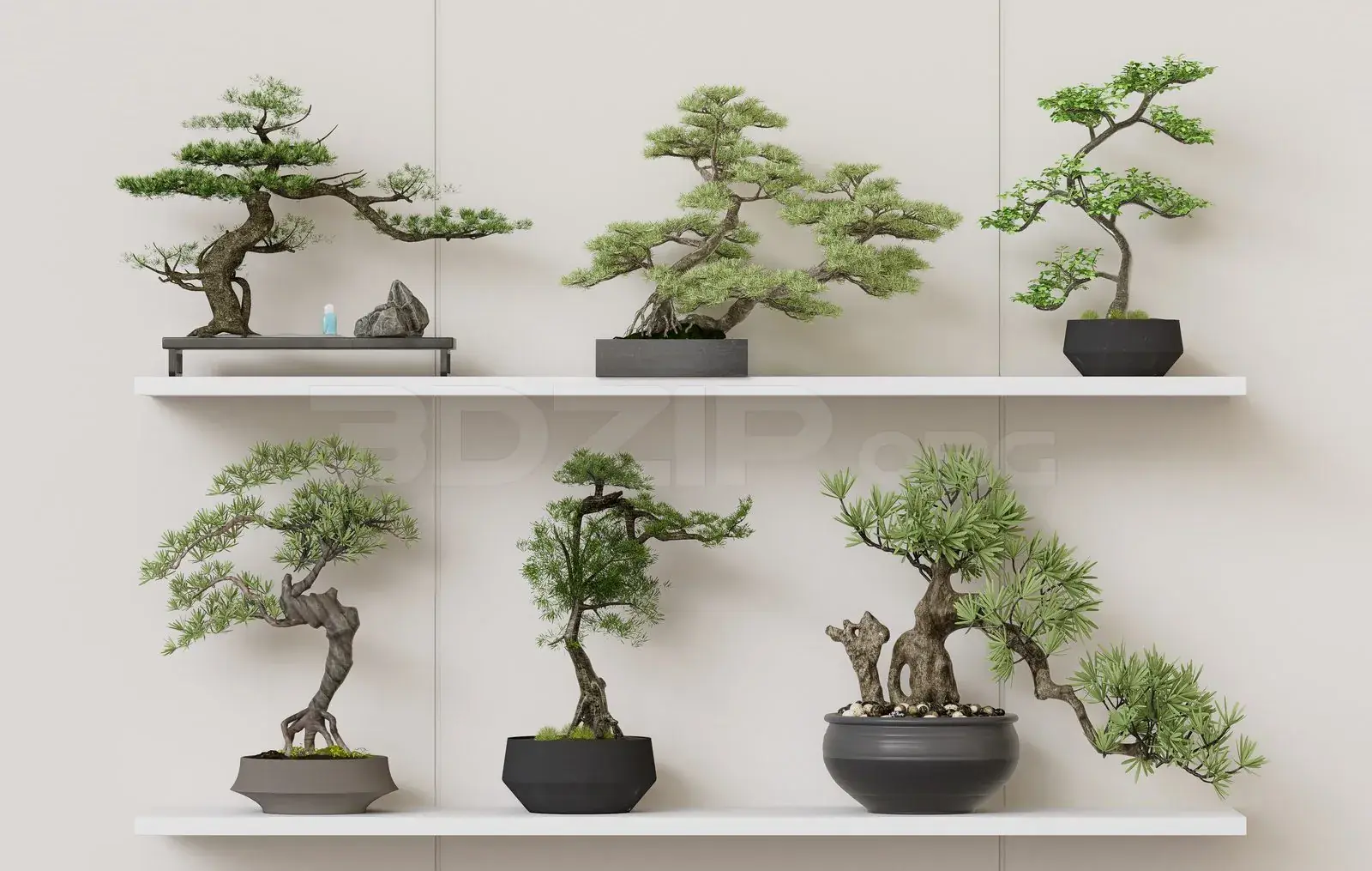 BonSai Tree