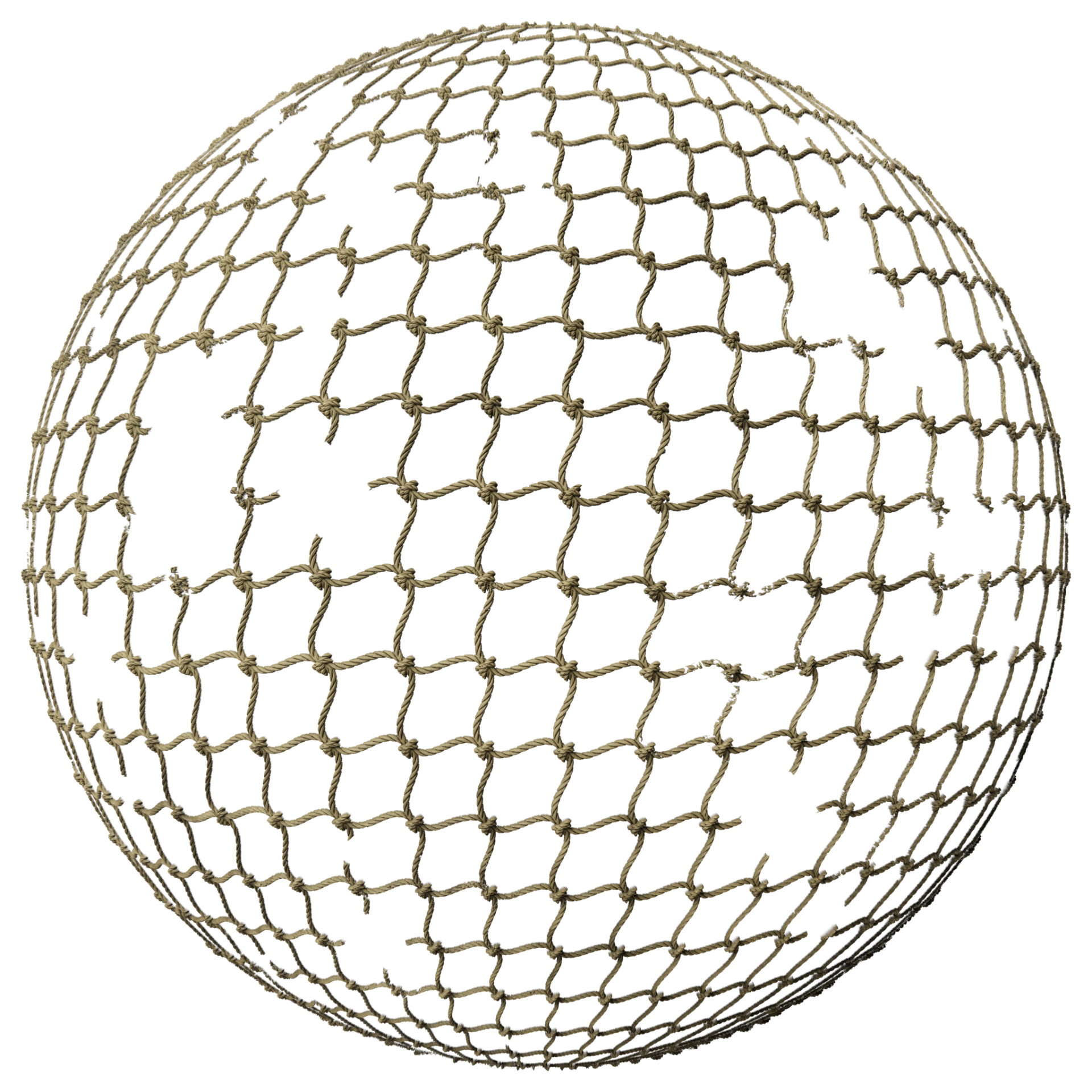 Net 002 B